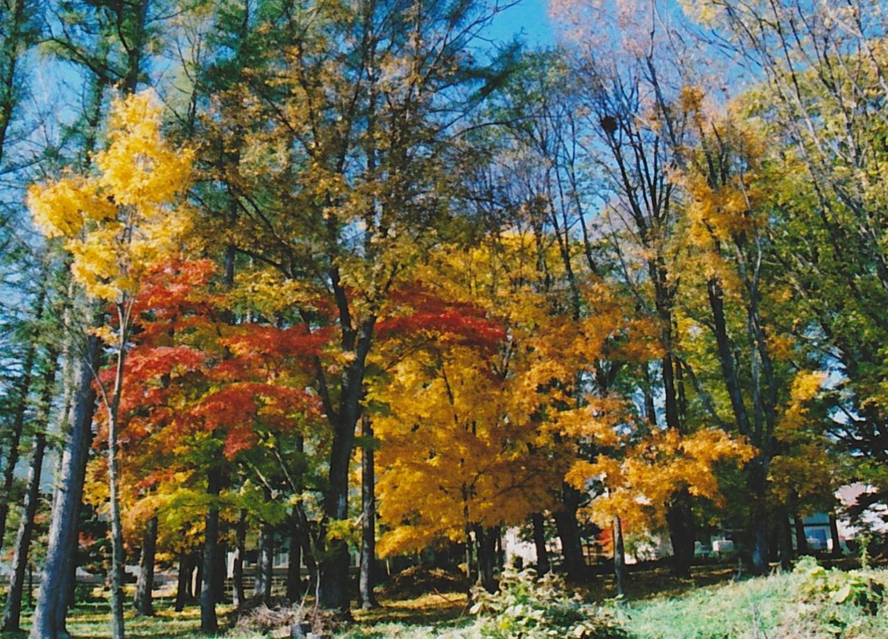 Cottage Morino Nakamatachi NakaNakafurano Dış mekan fotoğraf